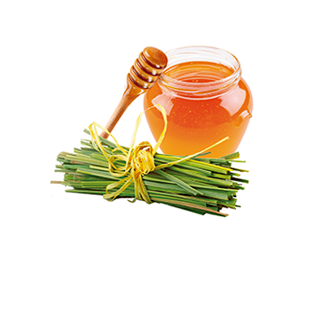 Spirulina sobre pequeño